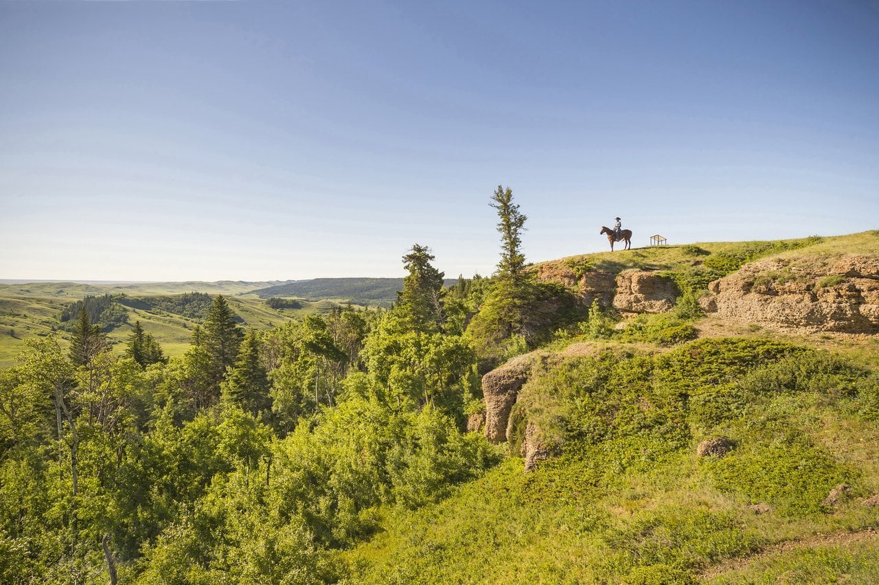 Aussichtspunkt in den Cypress Hills in der kanadischen Provinz Saskatchewan 