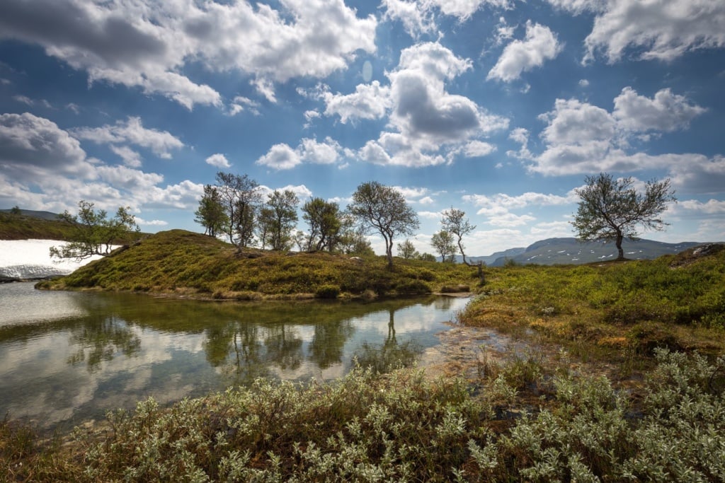 Femundsmarka Nationalpark Norwegen