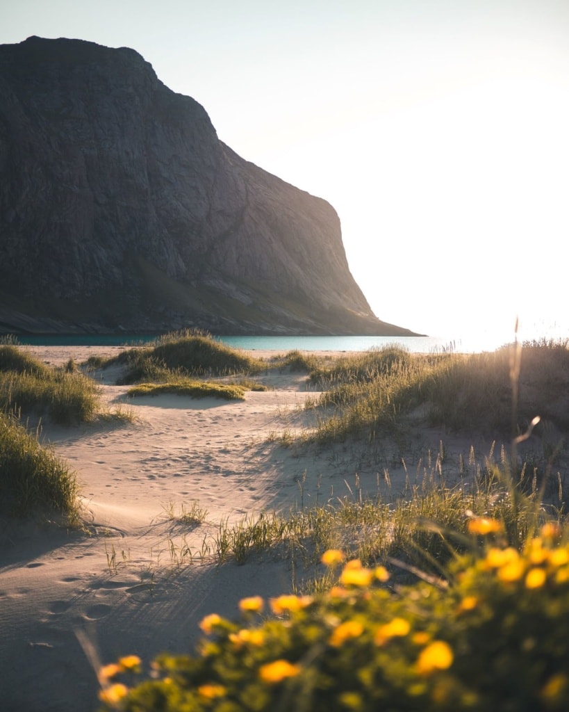 Norwegen Natur: Horseid-Sandstrand in den Lofoten