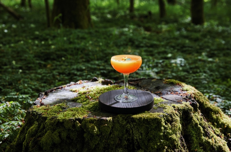 Orangefarbener Cocktail steht auf Baumstumpf