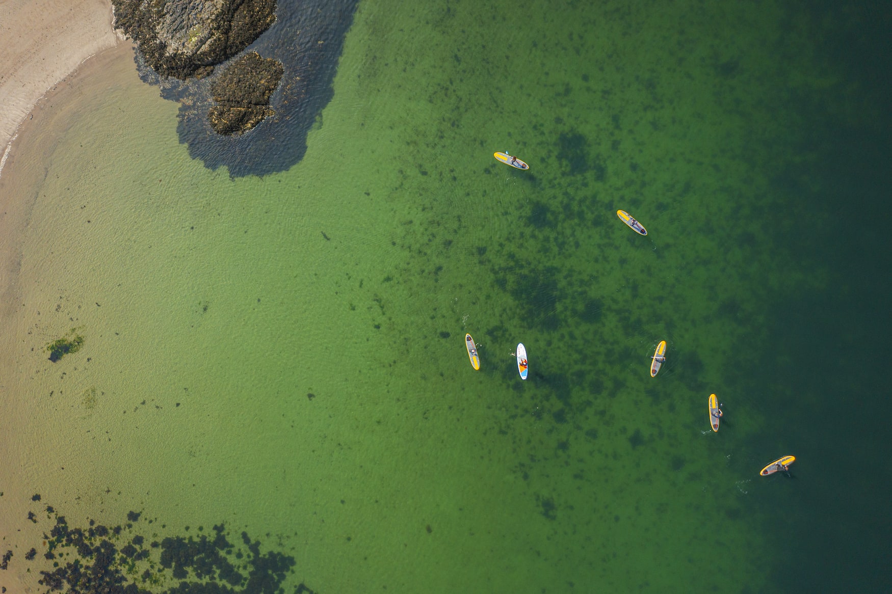 Eine Gruppe von Stand-Up-Paddlern auf dem Wasser in einer Bucht in Schottland