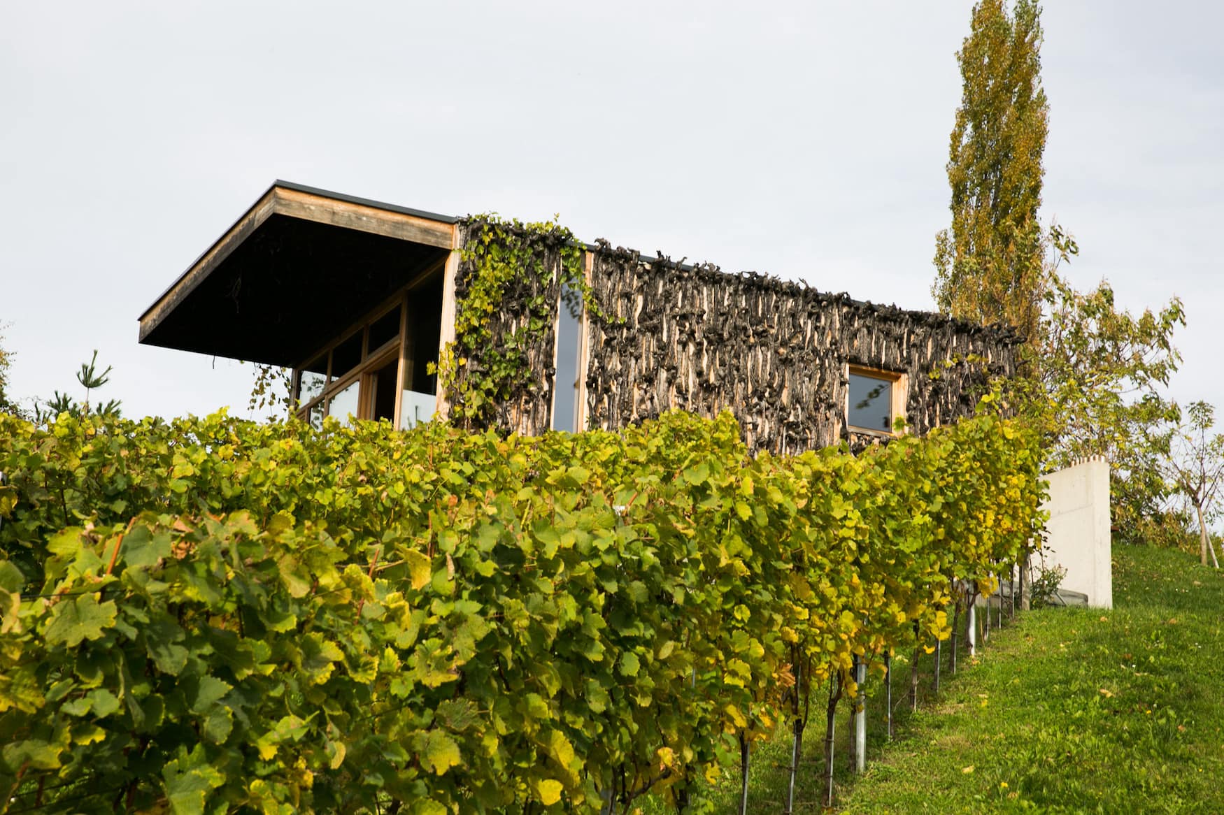 Weingartenhaus der Weinidylle Dreisiebner