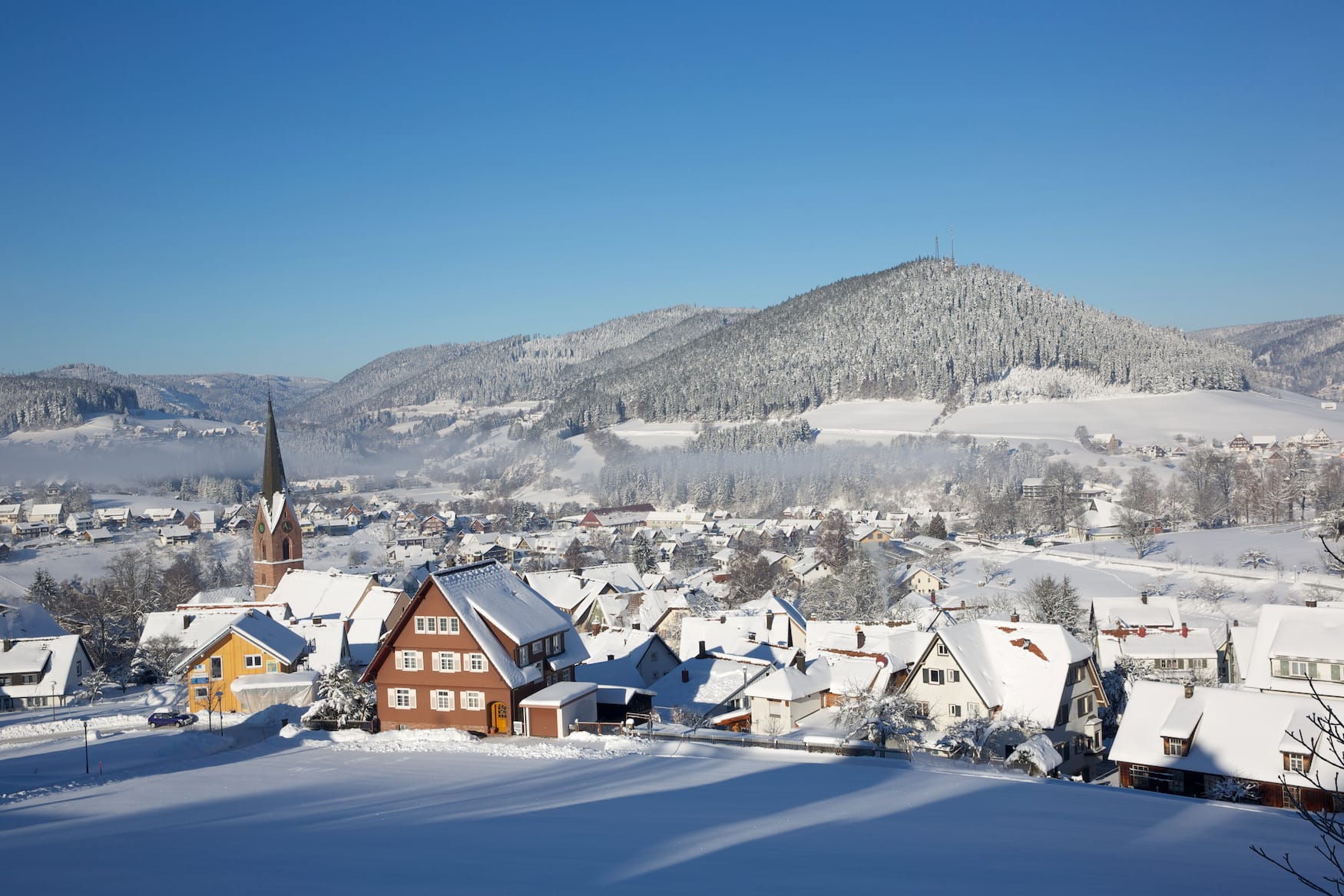 Verschneites Baiersbronn Im Winter