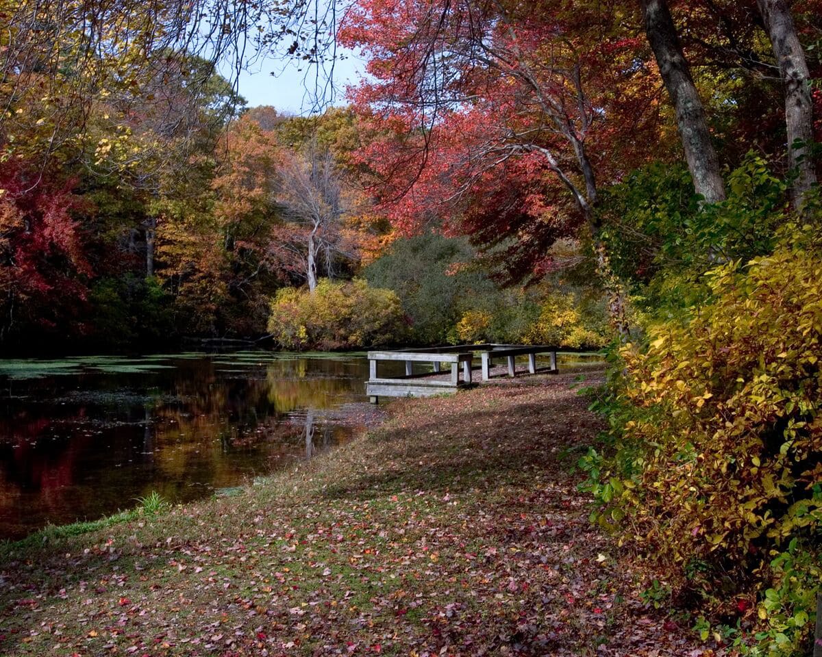 Caleb Smith State Park auf Long Island im Herbst 