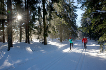 Langlaufen im Schwarzwald