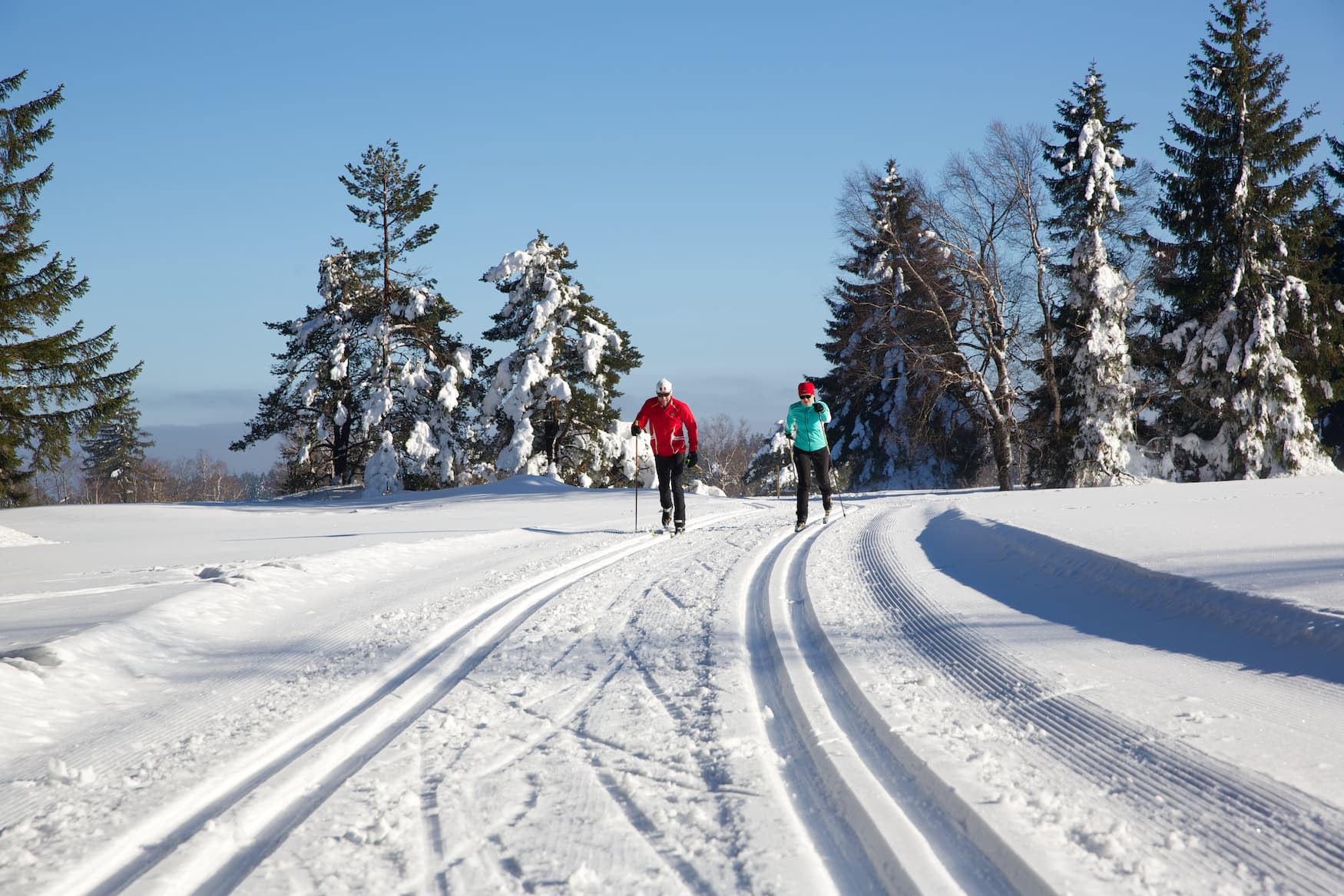 Langlaufen im Nordschwarzwald in Baiersbronn im Winter