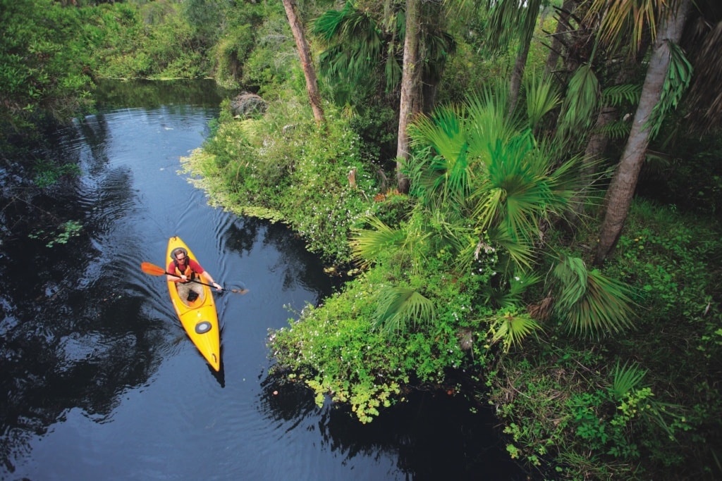 Mann fährt Kayak durch Mangrovenwälder in Florida