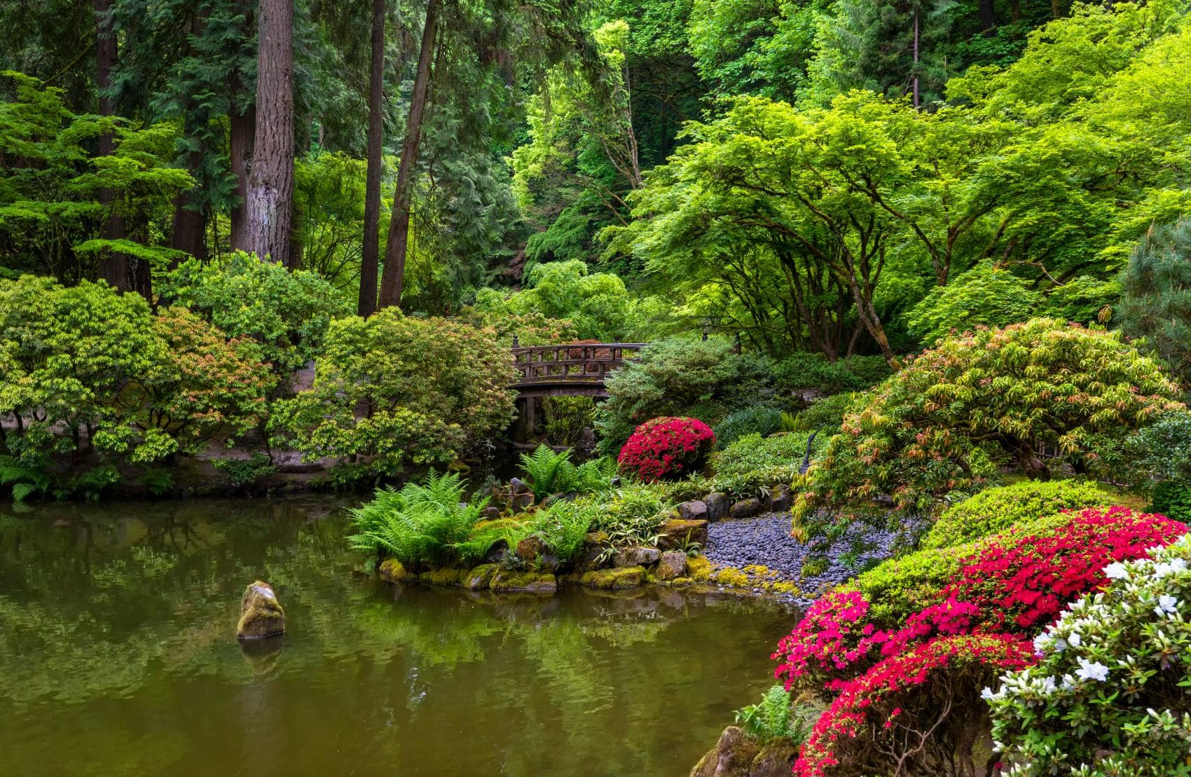 Portland Japanese Garden