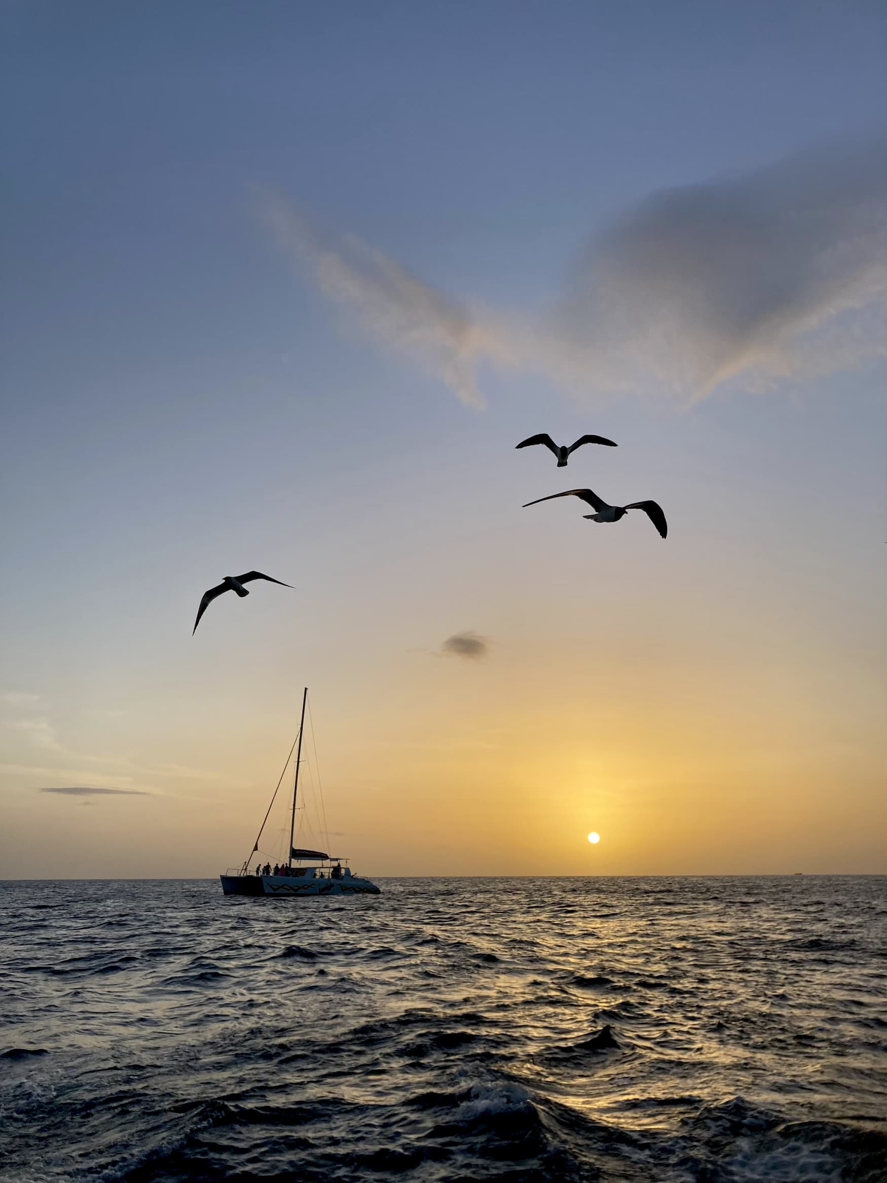 Segeln im Sonnenuntergang Sint Maarten