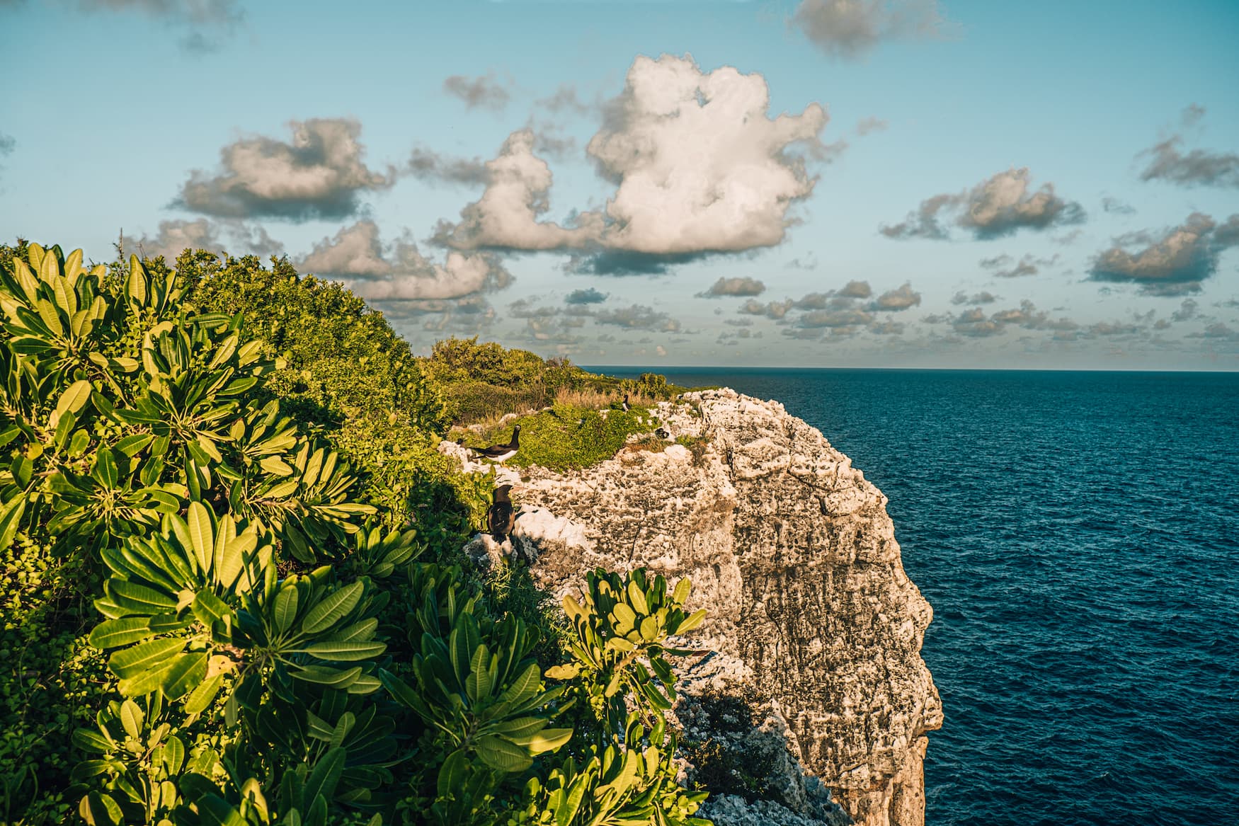 The Bluff, die höchste Erhebung der Cayman Islands
