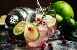 Gin Tonic mit frischen Zutaten