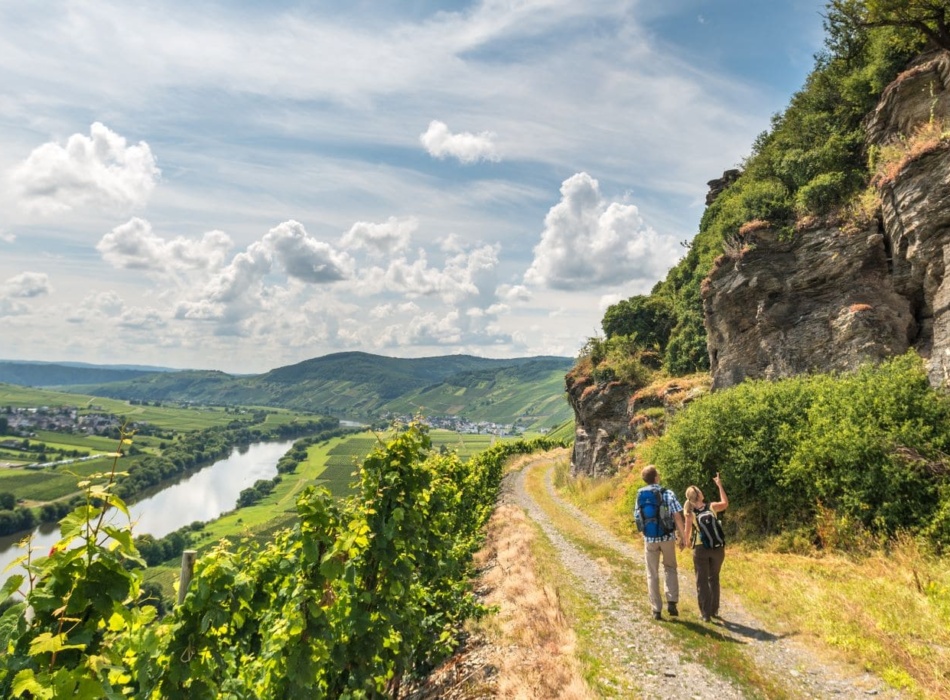 Luxus Leichte Rundwanderwege Pfalz Ebenbild