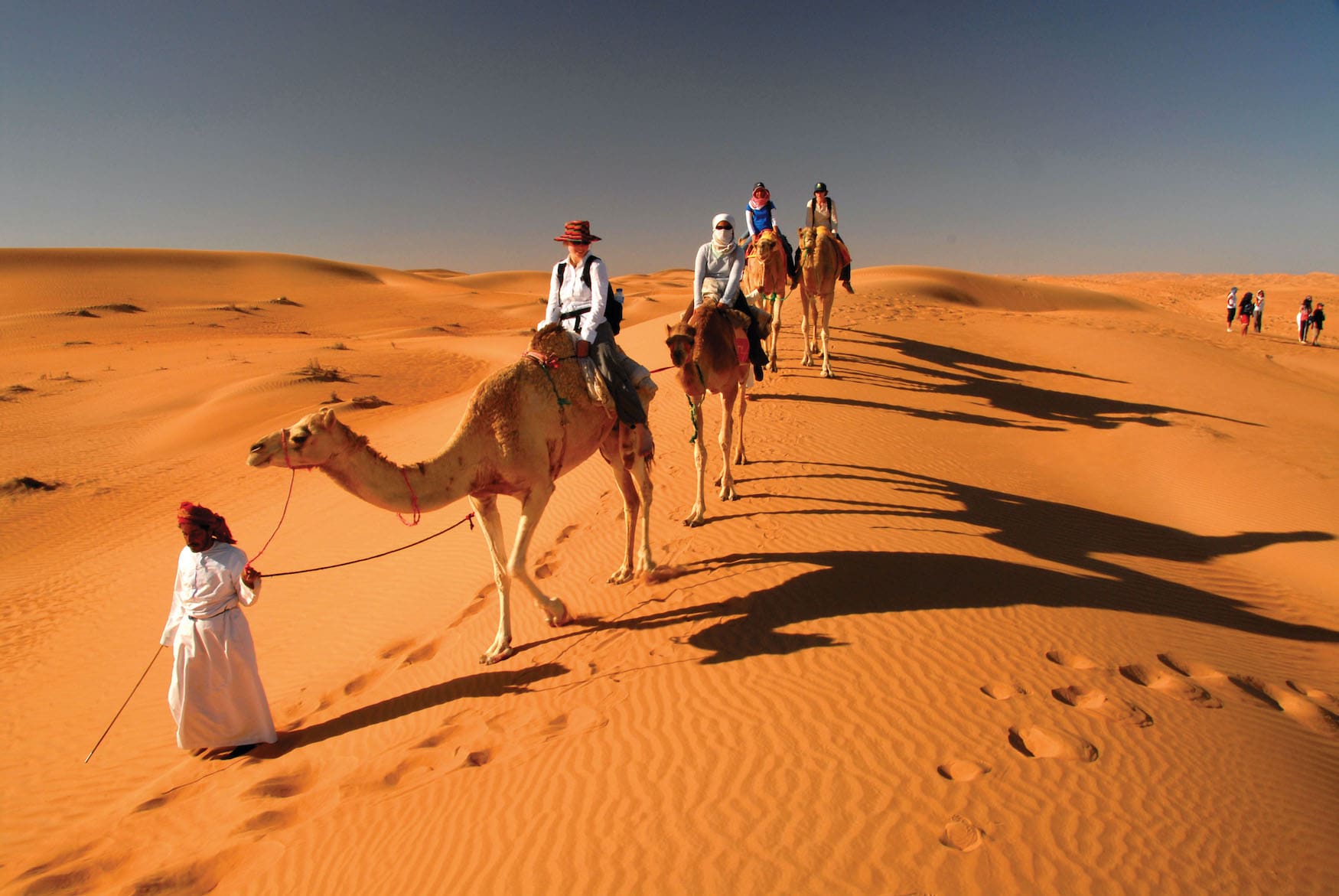 Kamele in der Wüste von Oman