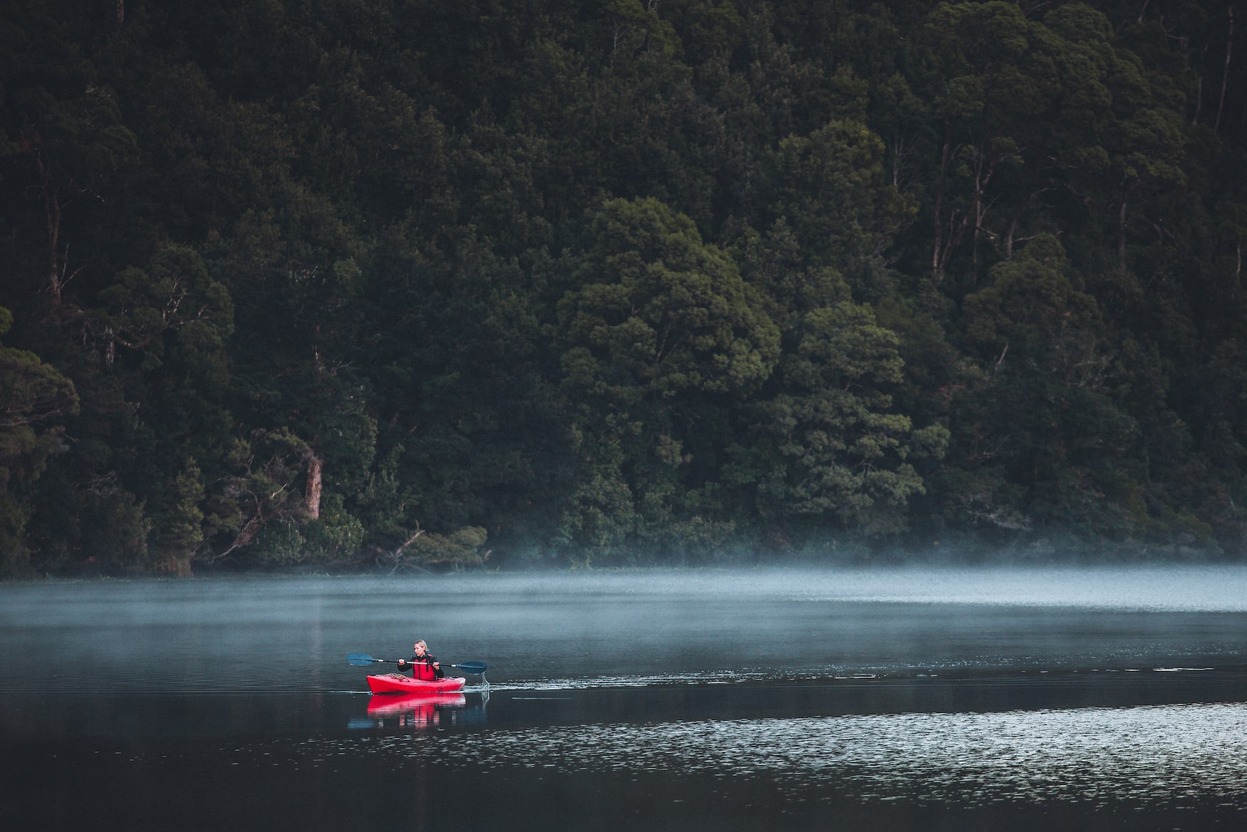 Während einer Reise nach Tasmanien sollte man eine Kayaktour auf dem Pieman River unternehmen