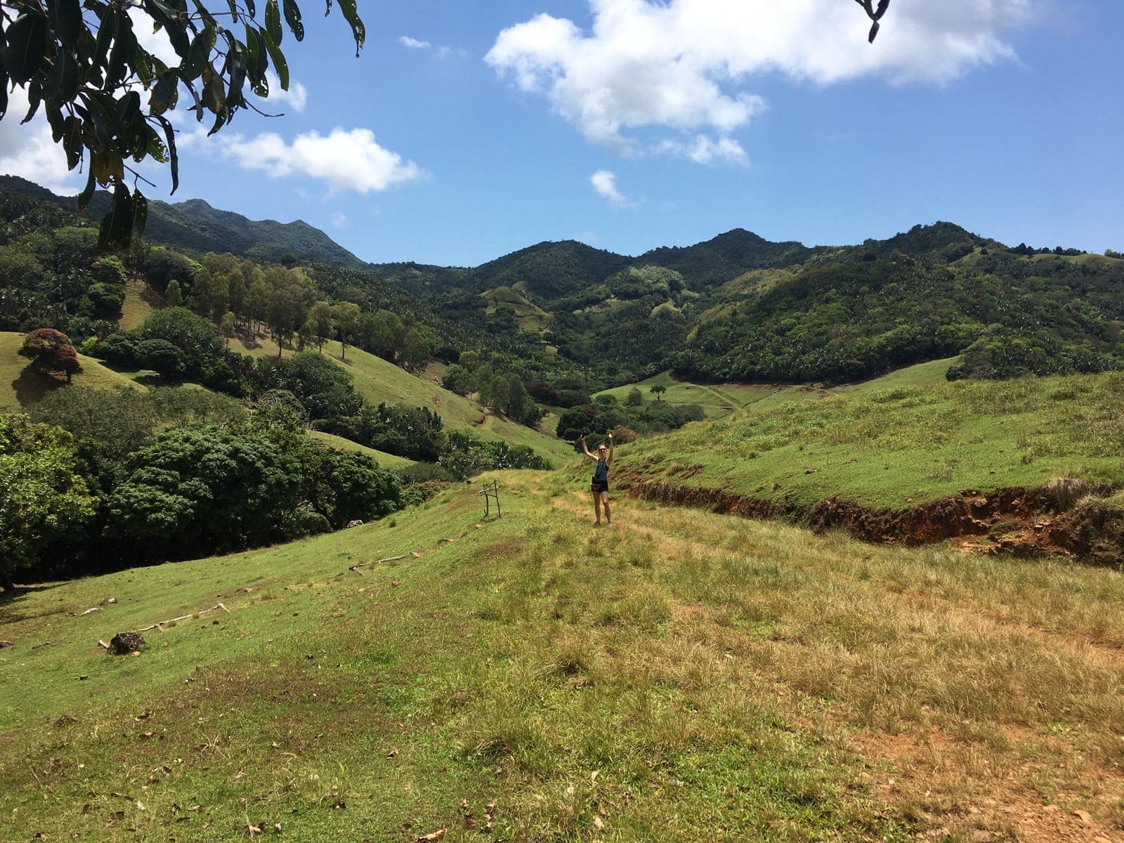 Eine Frau steht inmitten der grünen Landschaft von Mauritius, wo es wunderbare Wanderwege zu entdecken gibt.
