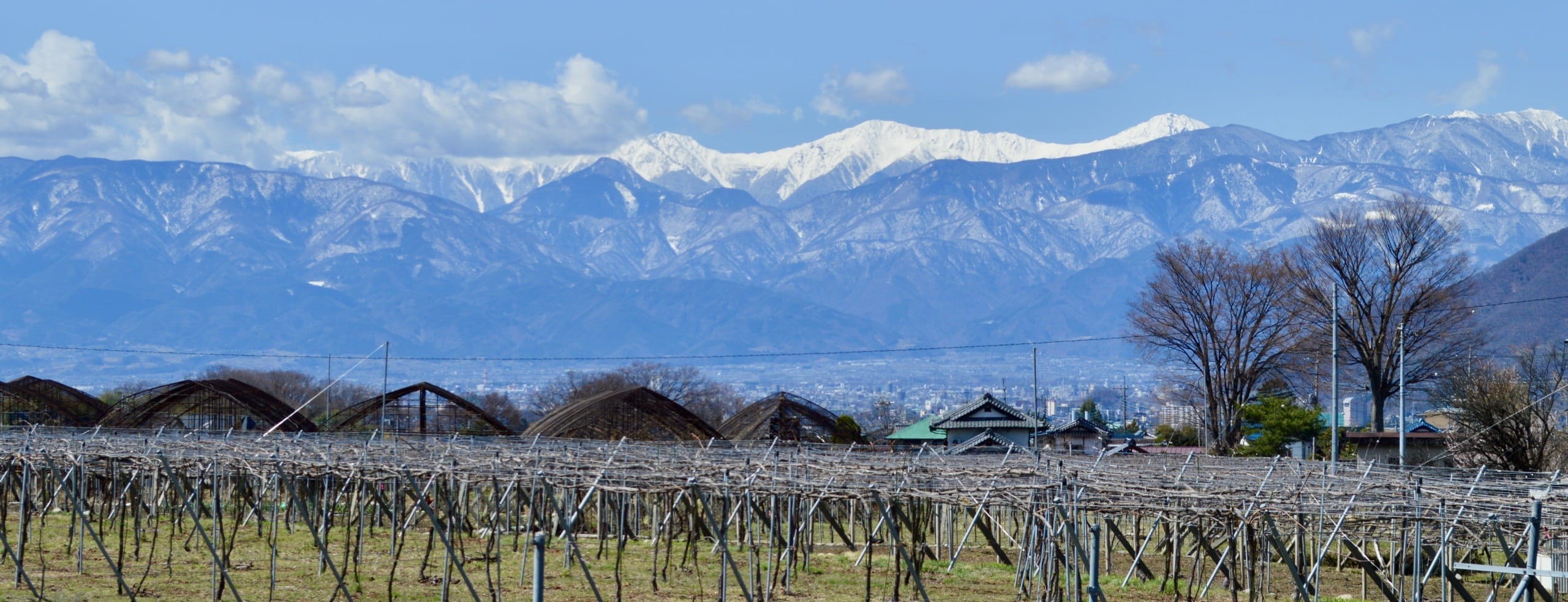 Weinanbau in Japan, Berge im Hintergrund