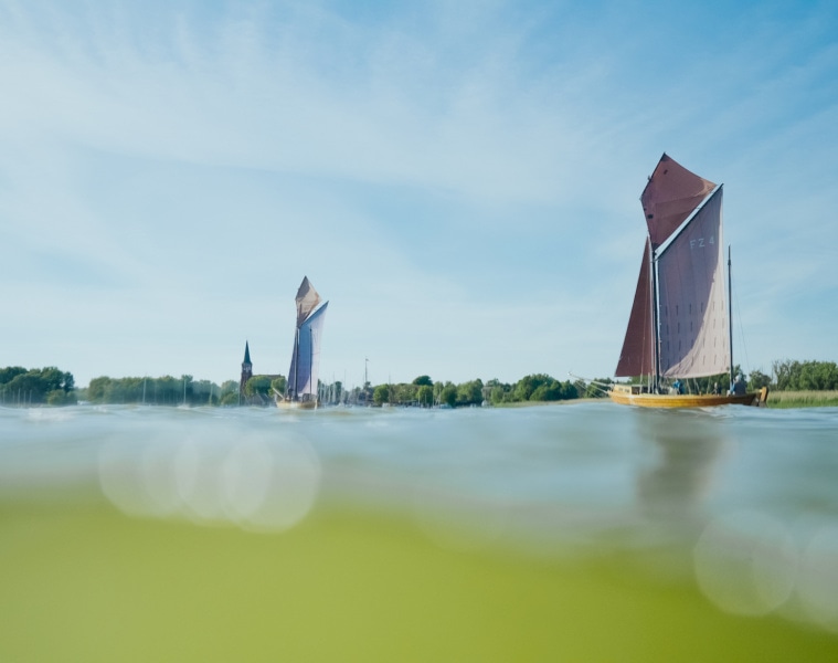 Wenn der Wind die Segel küsst, legen die Zeesboote los. Eine wunderbare Art Mecklenburg-Vorpommern von einer anderen Perspektive zu entdecken. | TMV/Gänsicke