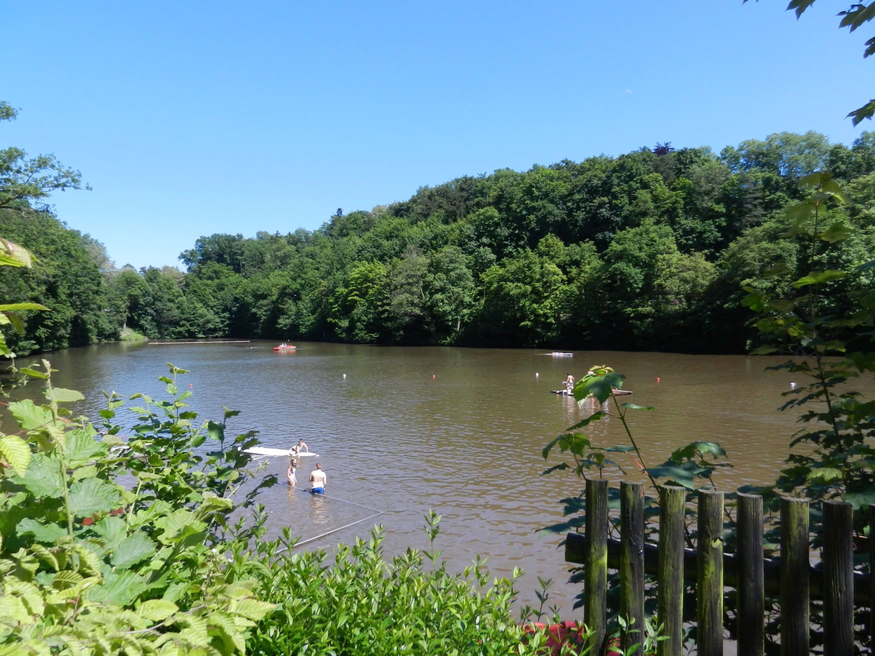 Blick auf den Tiefen See in Maulbronn, im Vordergrund ein Gebüsch, auf der anderen Seite ein bewaldetes Ufer.