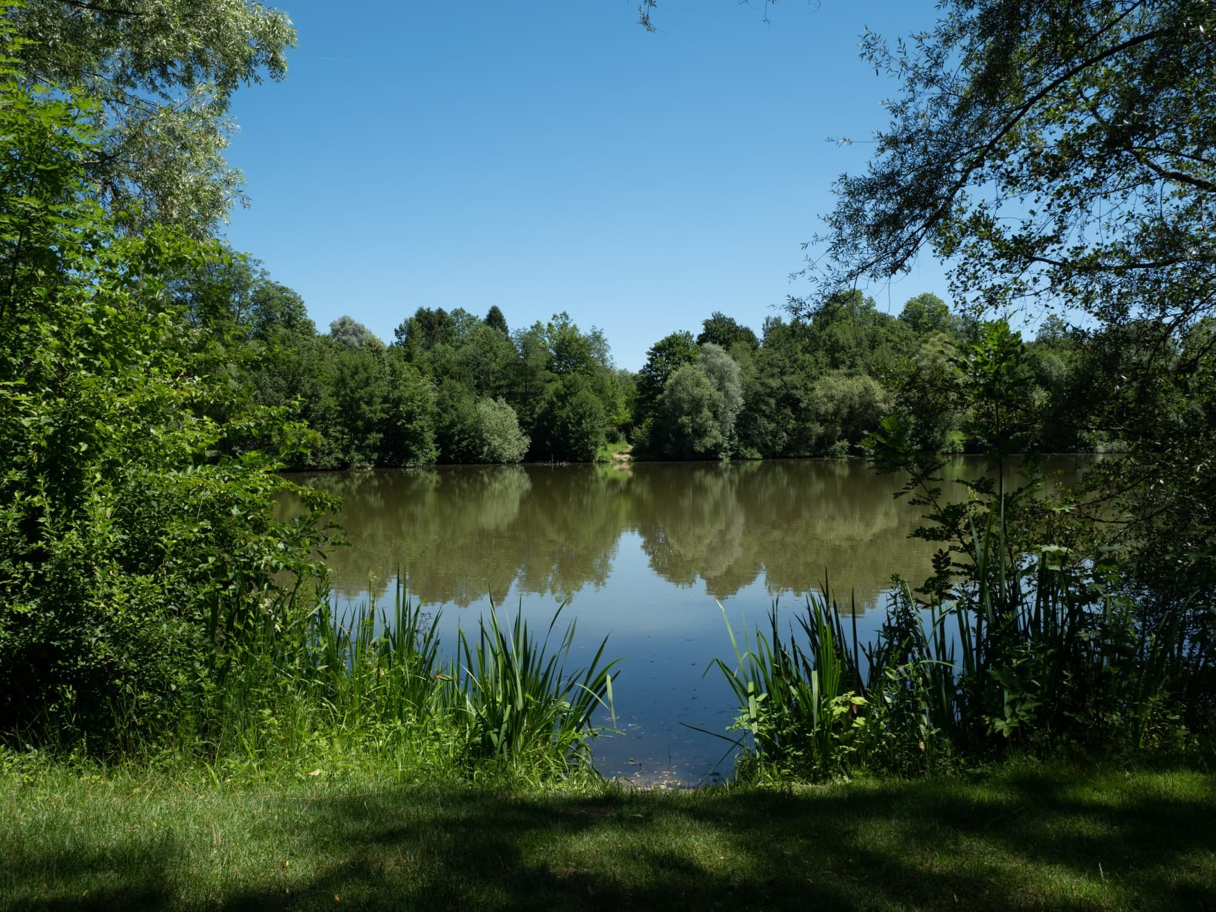 Blick auf einen der Bürgerseen bei Kirchheim unter Teck, umgeben von viel Wald.