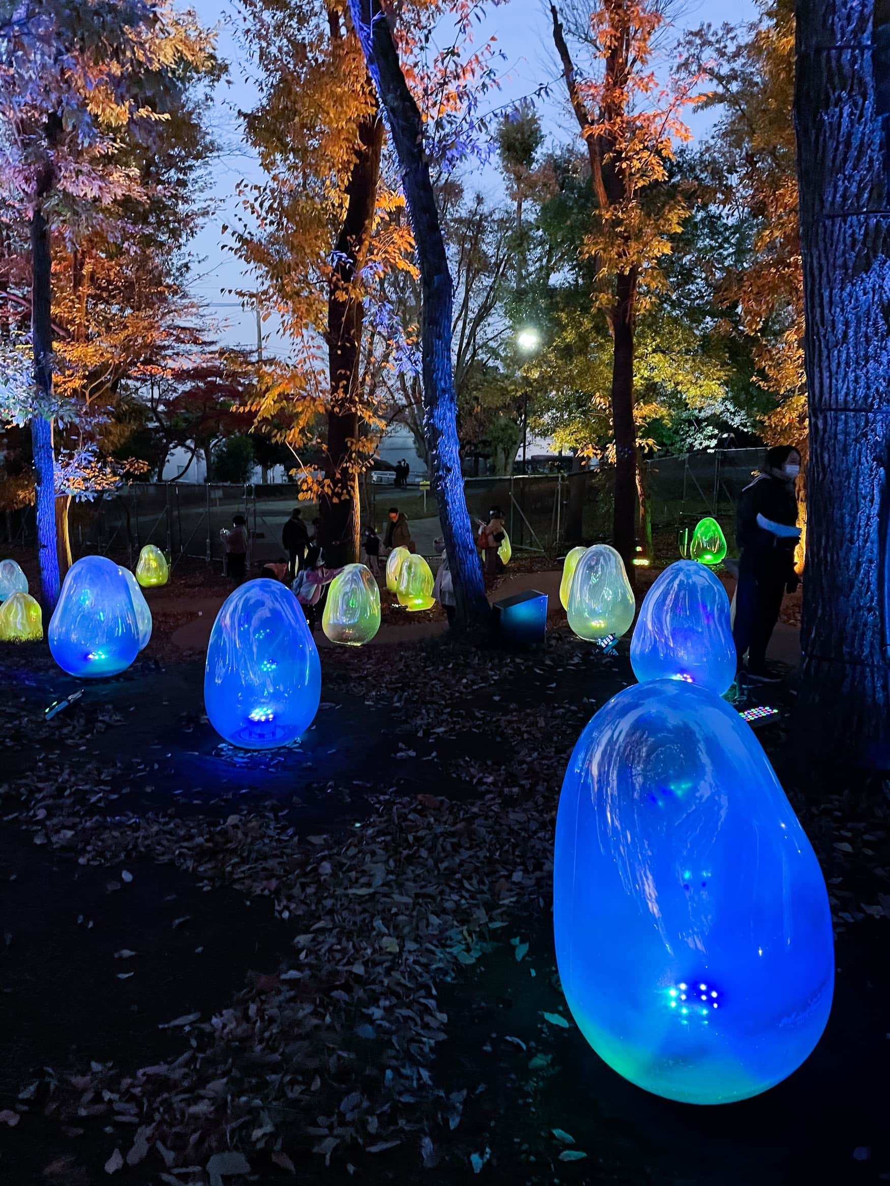Colorful art installations by the teamLab collective of artists in Higashi Tokorozawa park