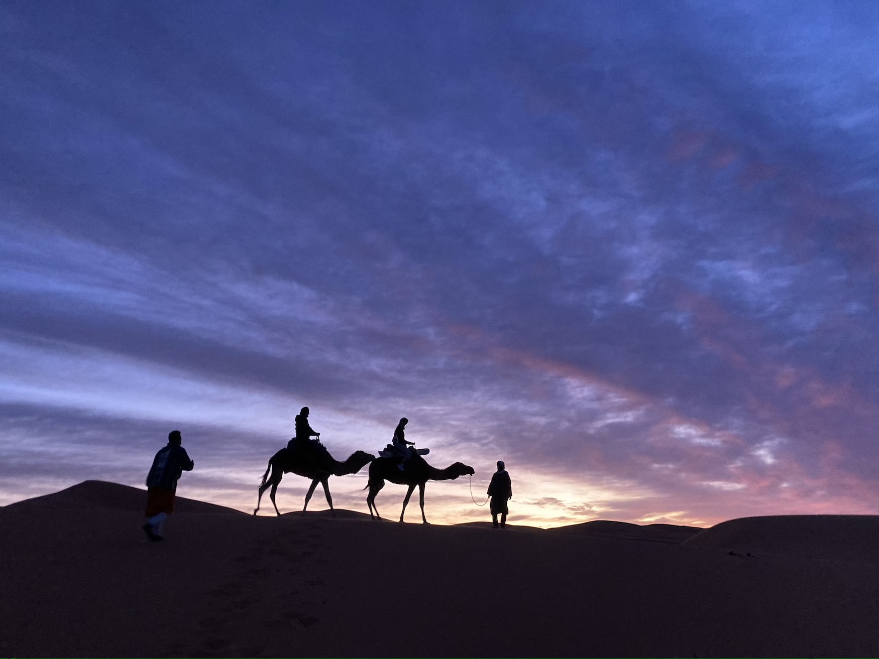 Kamele Sahara Marokko