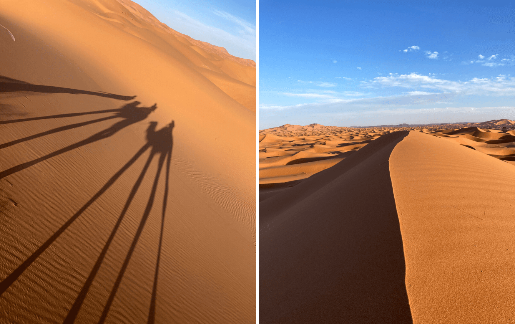 Kamelereiten in der Sahara