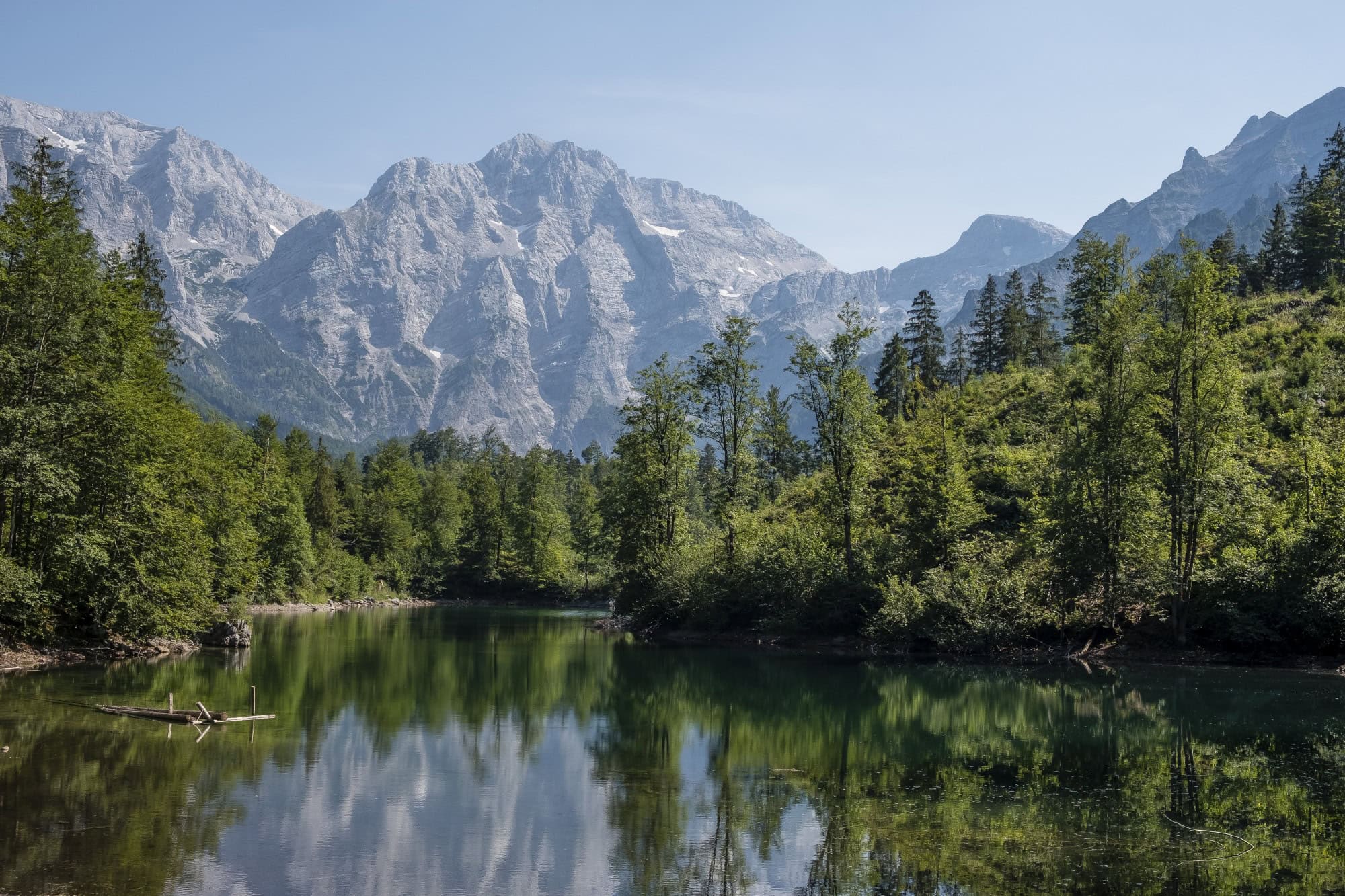 Ganz-sch-n-gr-n-Hier-zeigt-sich-die-Natur-in-sterreich-in-ihrem-besten-Licht