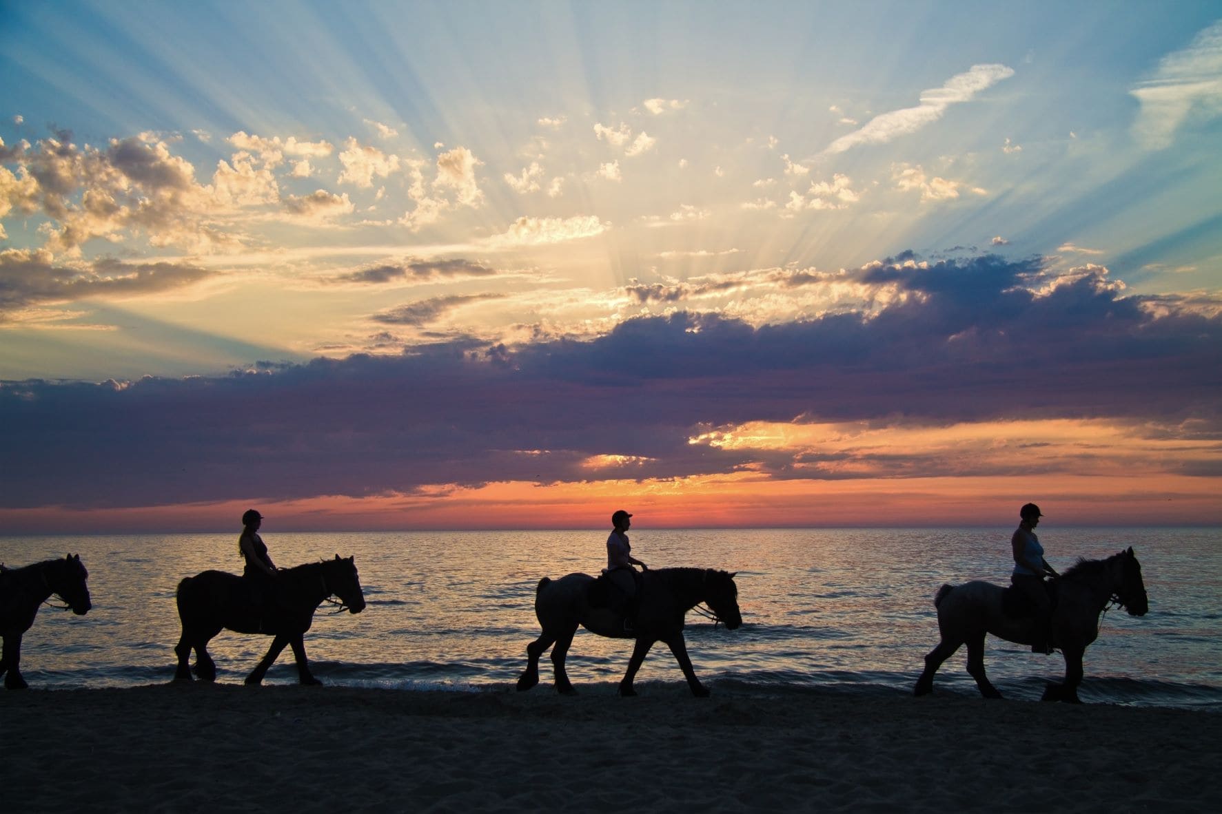 A group of horse riders on the beach 