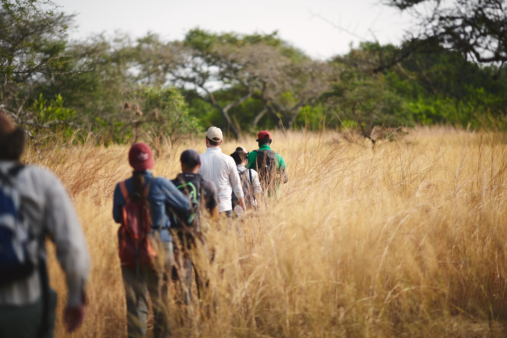 Trekking durch die Savanne im Bissagos-Archipel