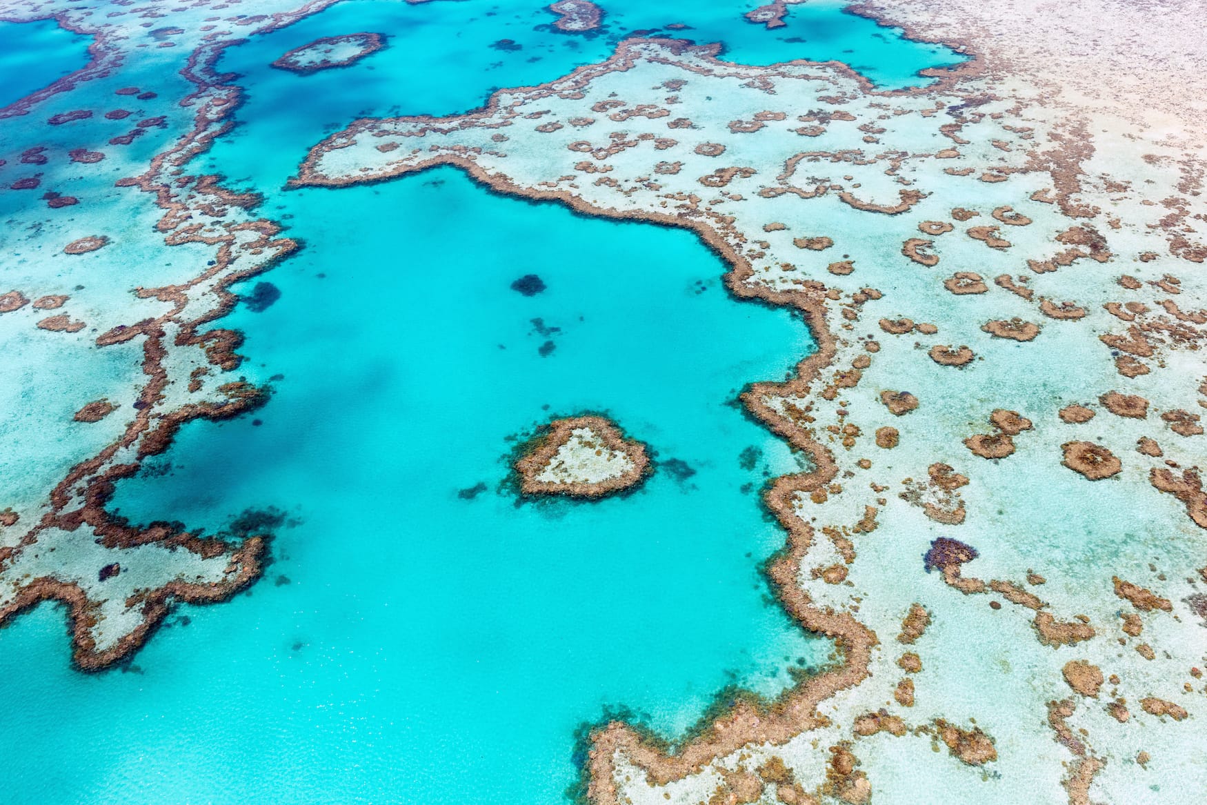eines der Highlights in Australien: das Great Barrier Reef