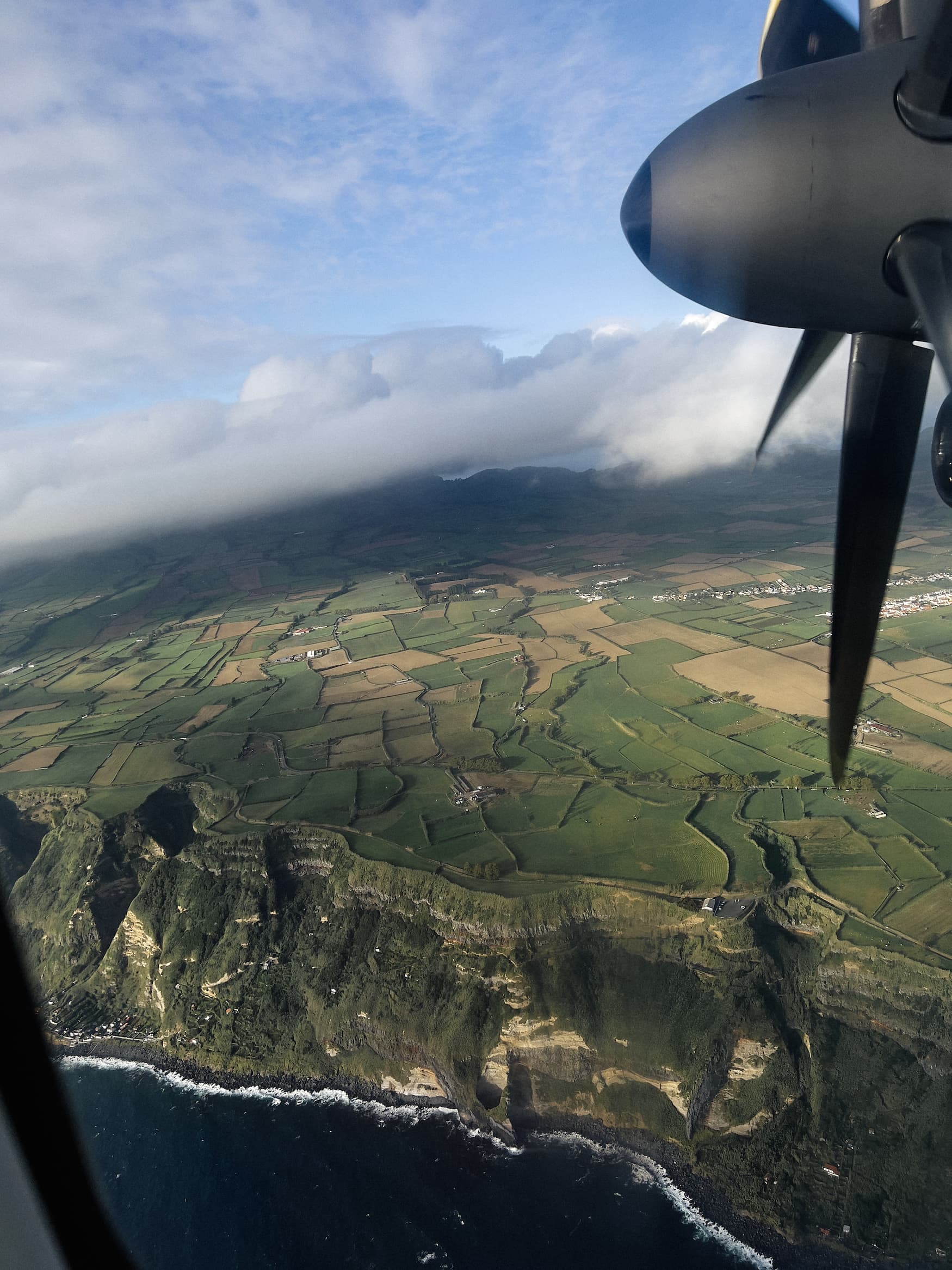 der Blick auf die Weinfelder der Azoren