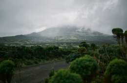 die grüne Landschaft der Azoren
