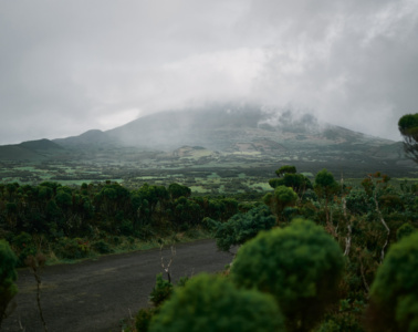 die grüne Landschaft der Azoren