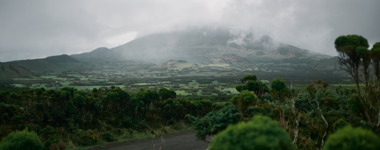 die grüne Landschaft der Azoren