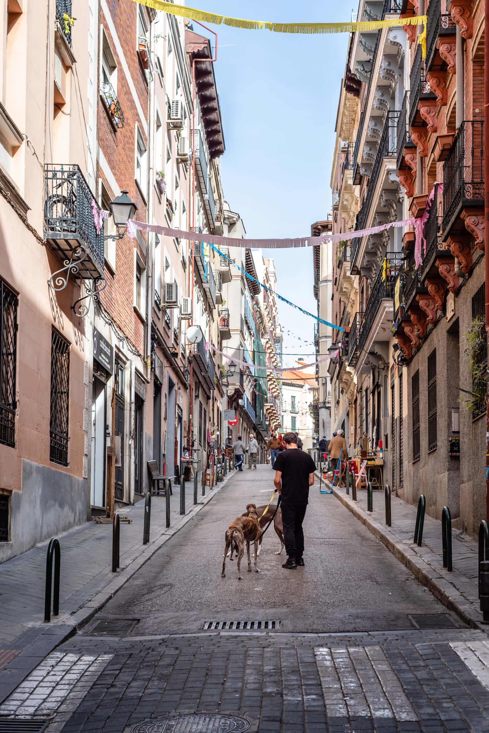 Mann geht mit Hund Gassi in einem schönen Viertel der spanischen Hauptstadt