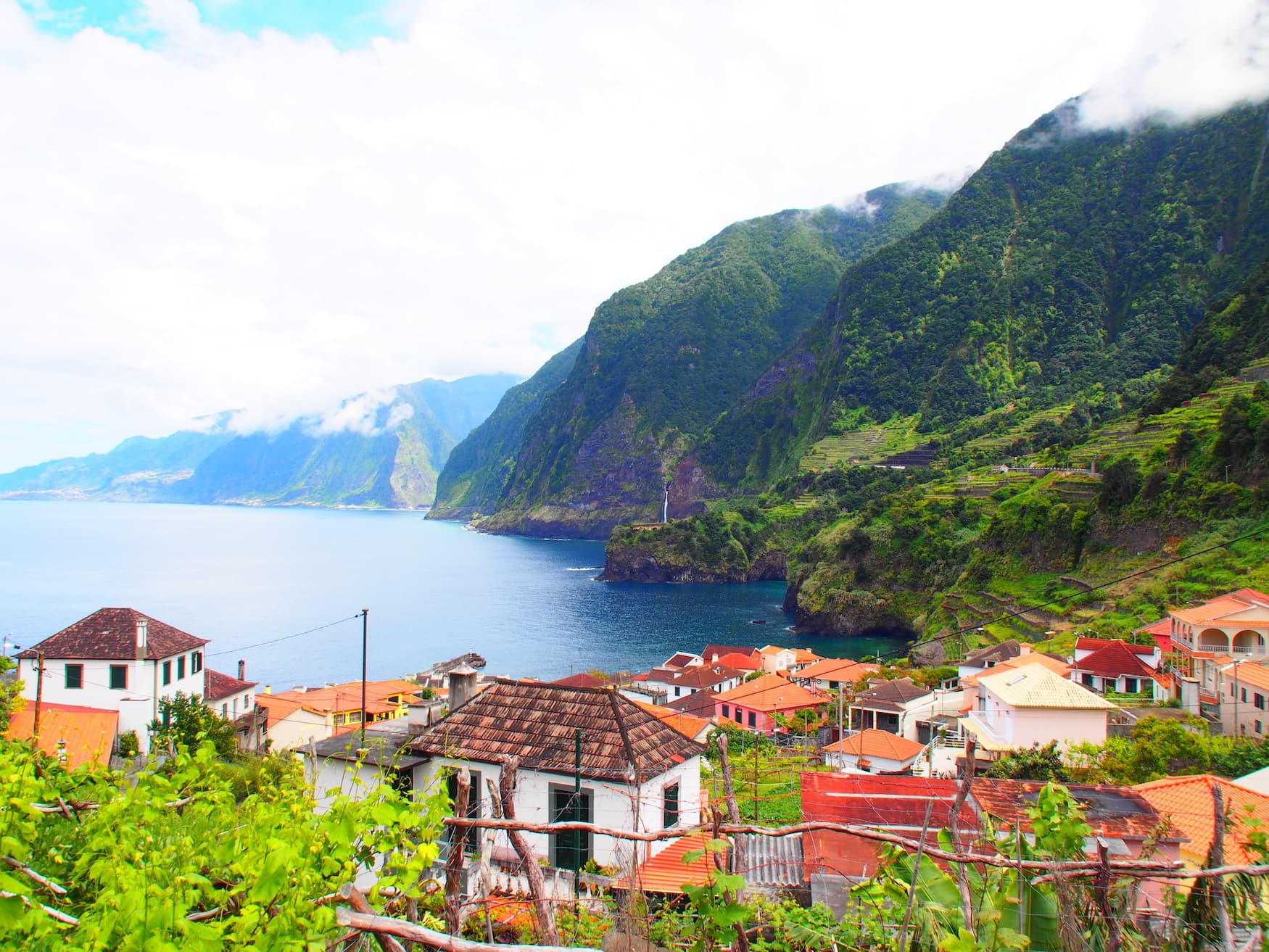 Weinberge an der Küste Madeiras