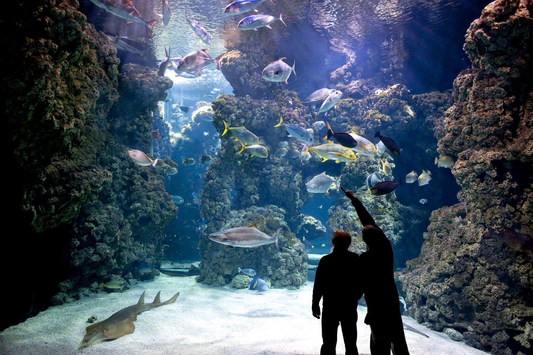 Besucher vor dem Aquarium im Ozeanographischen Museum Monaco 