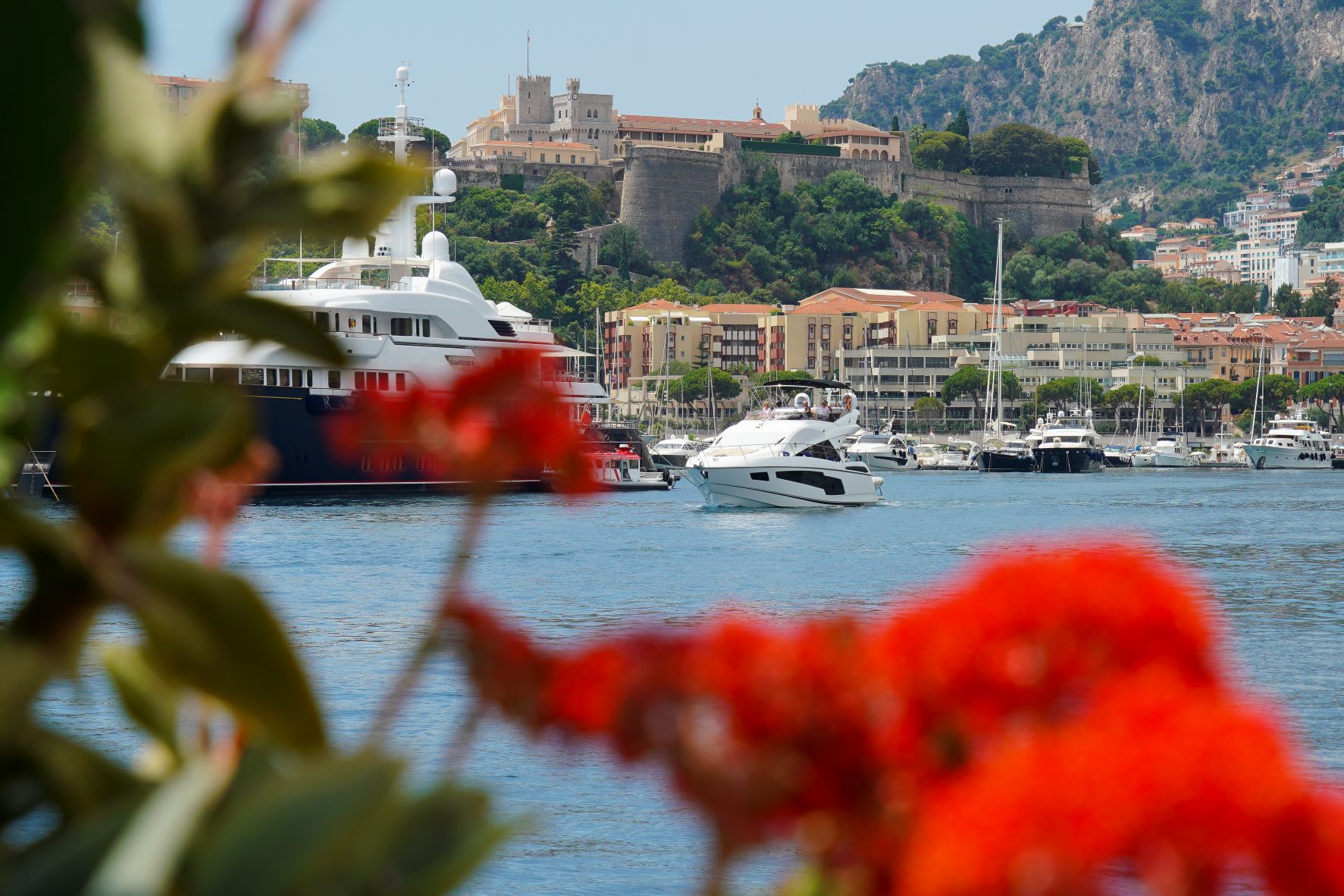 Port Hercule in Monaco 