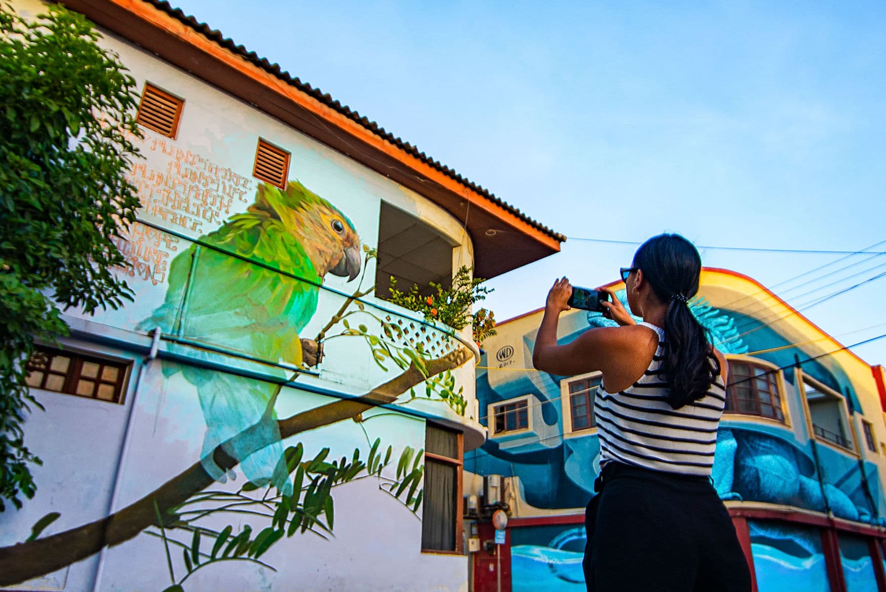 Frau fotografiert Street Art in San Nicolas Auf Aruba