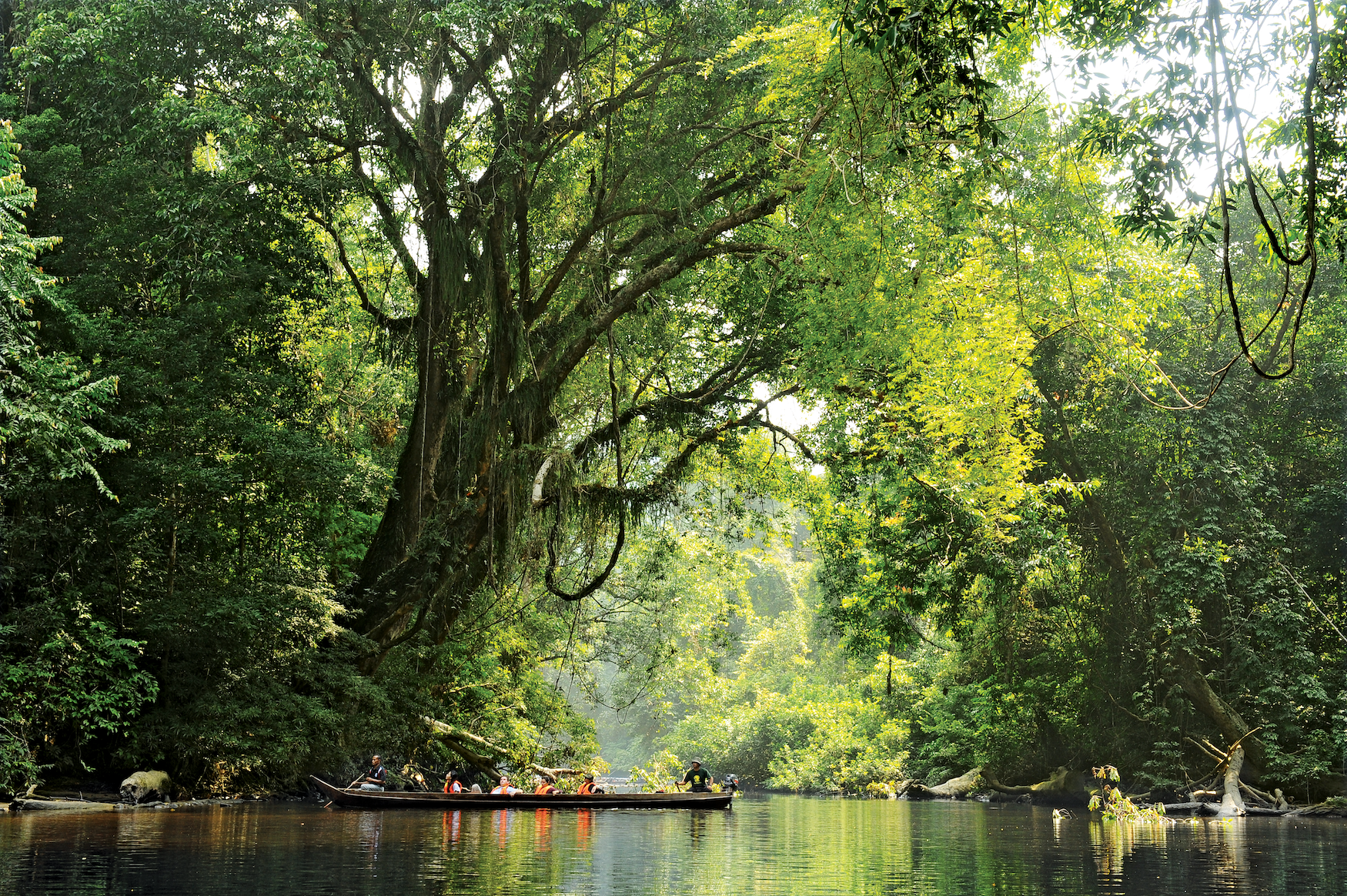 Bootsfahrt durch den Taman Negara Nationalpark, der älteste Nationalpark der Welt