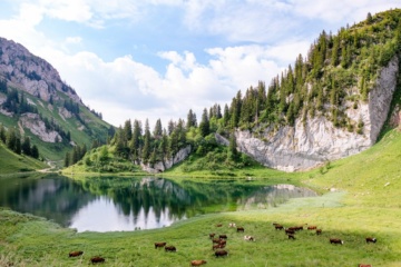 See in den französischen Alpen