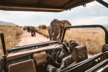 Safari-Jeep und Elefanten in Afrika