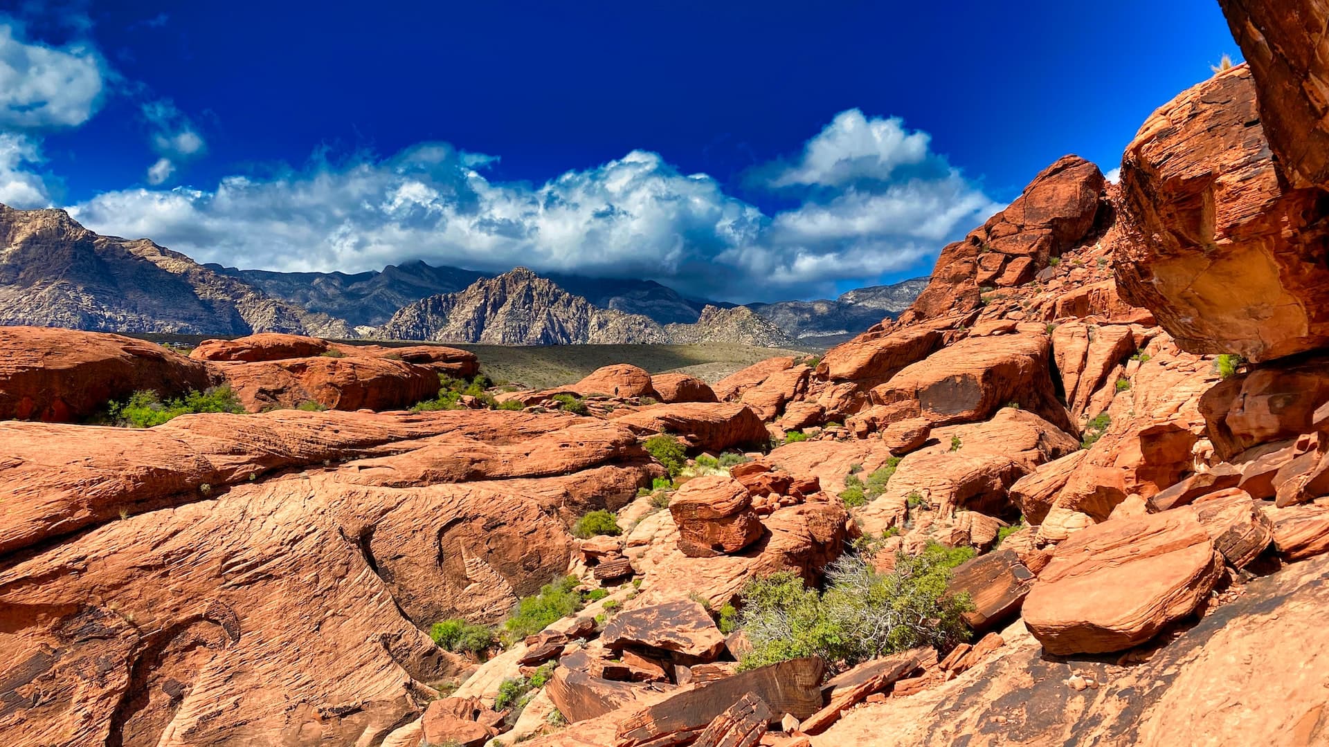 Blick auf Red Rock Canyon in Nevada 