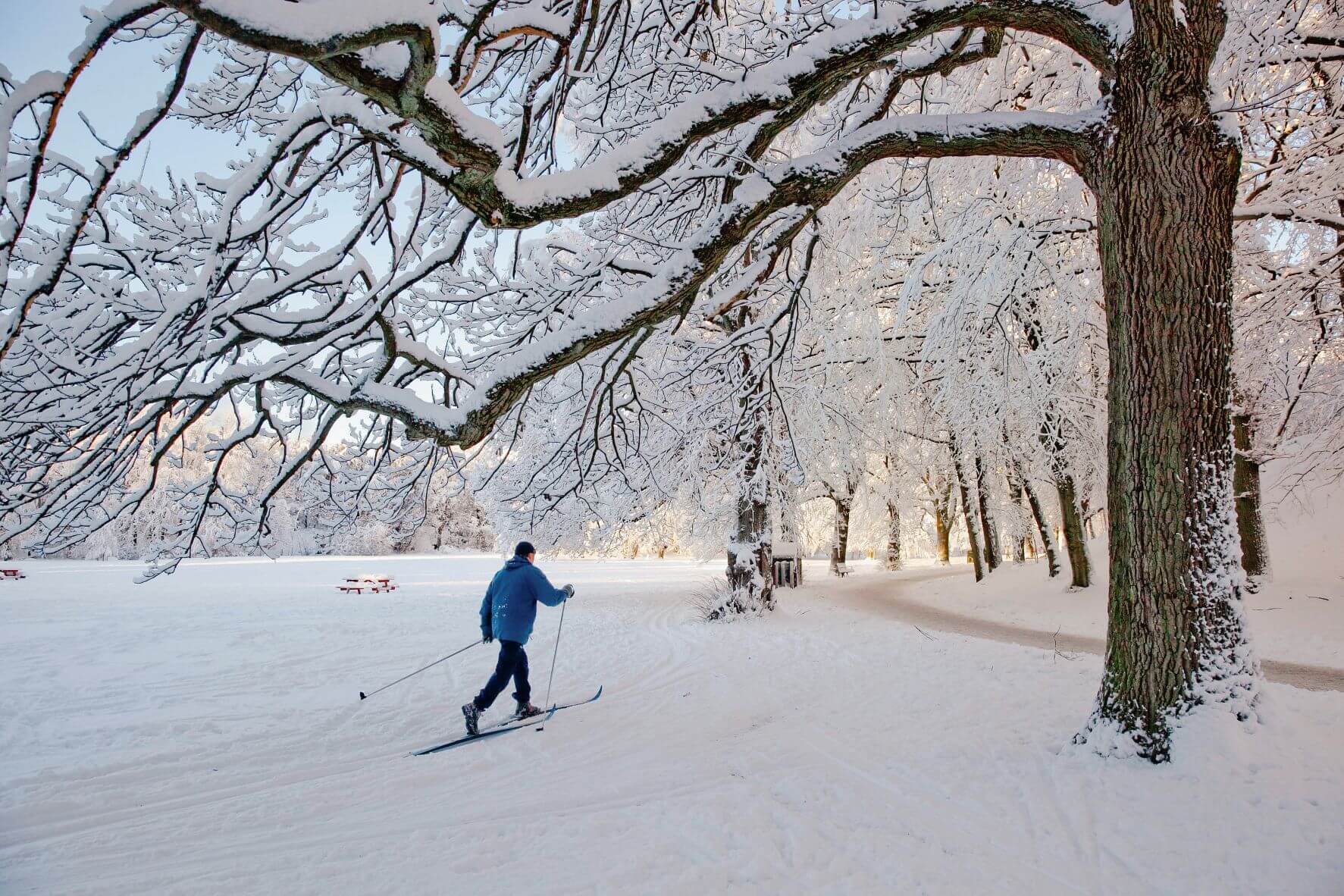 Langläufer im Schnee im Park in Göteborg 