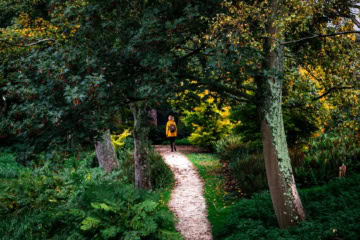 Frau spaziert allein durch den Westerpark in Amsterdam