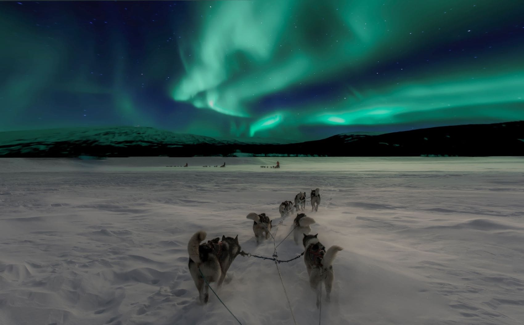 Hundeschlitten-Ausflug Norwegen Nordlichter 