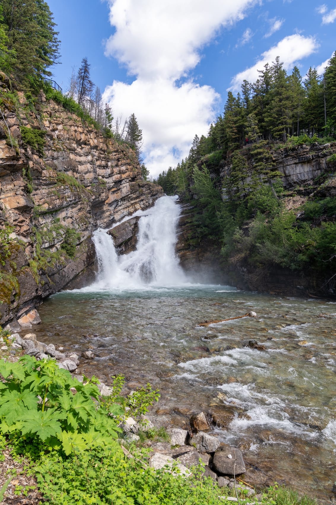 Schöner Wasserfall Cameron Falls im Waterton Lakes National Park Kanada