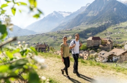 Paar wandern in Südtirol zwischen Apfelblüten