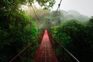 Eine Hängebrücke im Monteverde Cloud Forest Nature Reserve in Costa Rica.