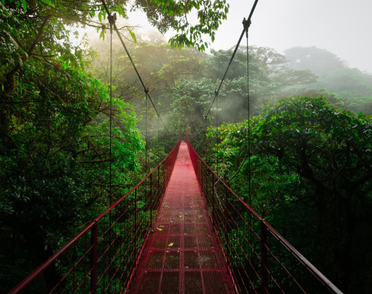 Eine Hängebrücke im Monteverde Cloud Forest Nature Reserve in Costa Rica.